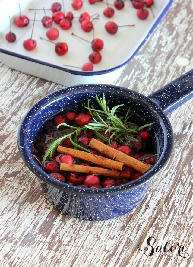 Scents of Fall Simmer Pot Recipefrom Satori Design for Living