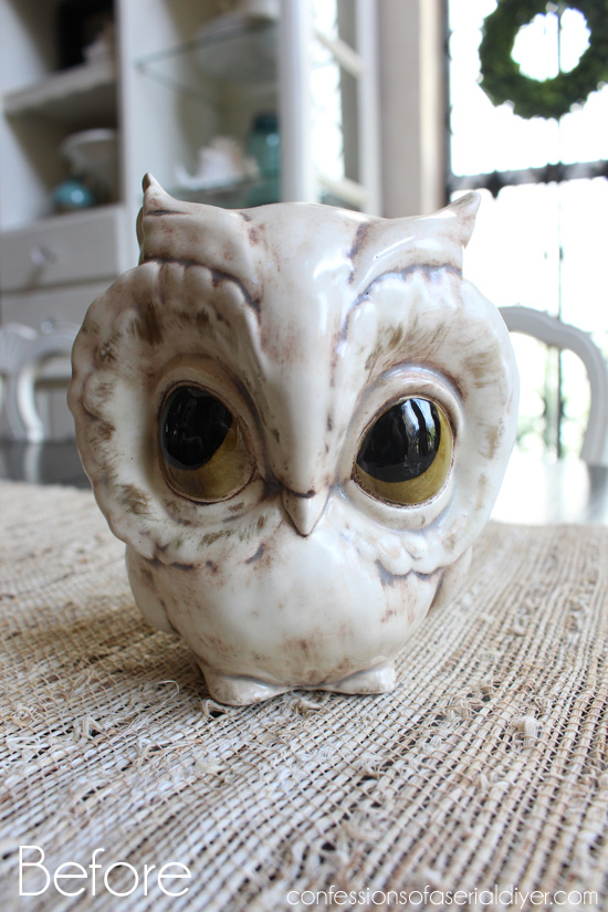 Owl-Before