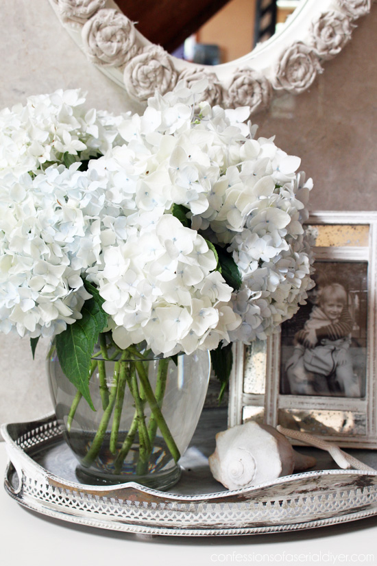 Gorgeous hydrangeas are the perfect cut flowers