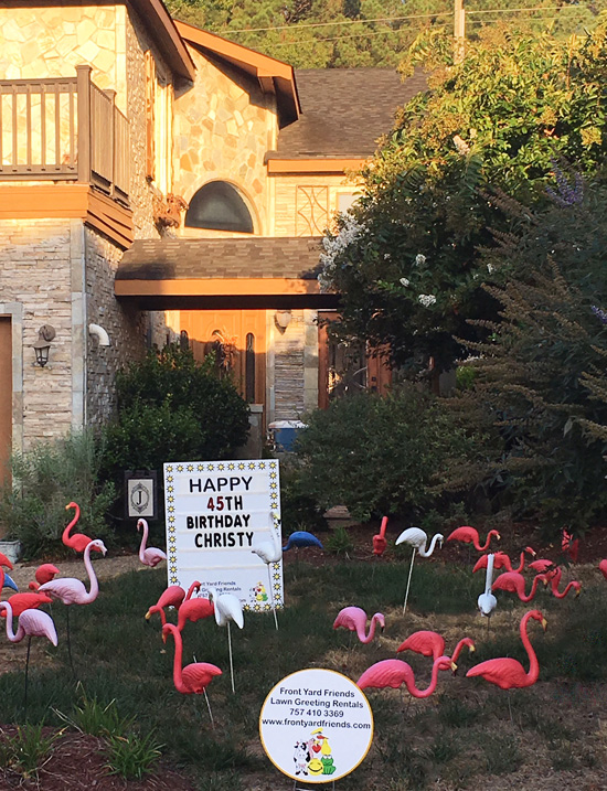 birthday-flamingos