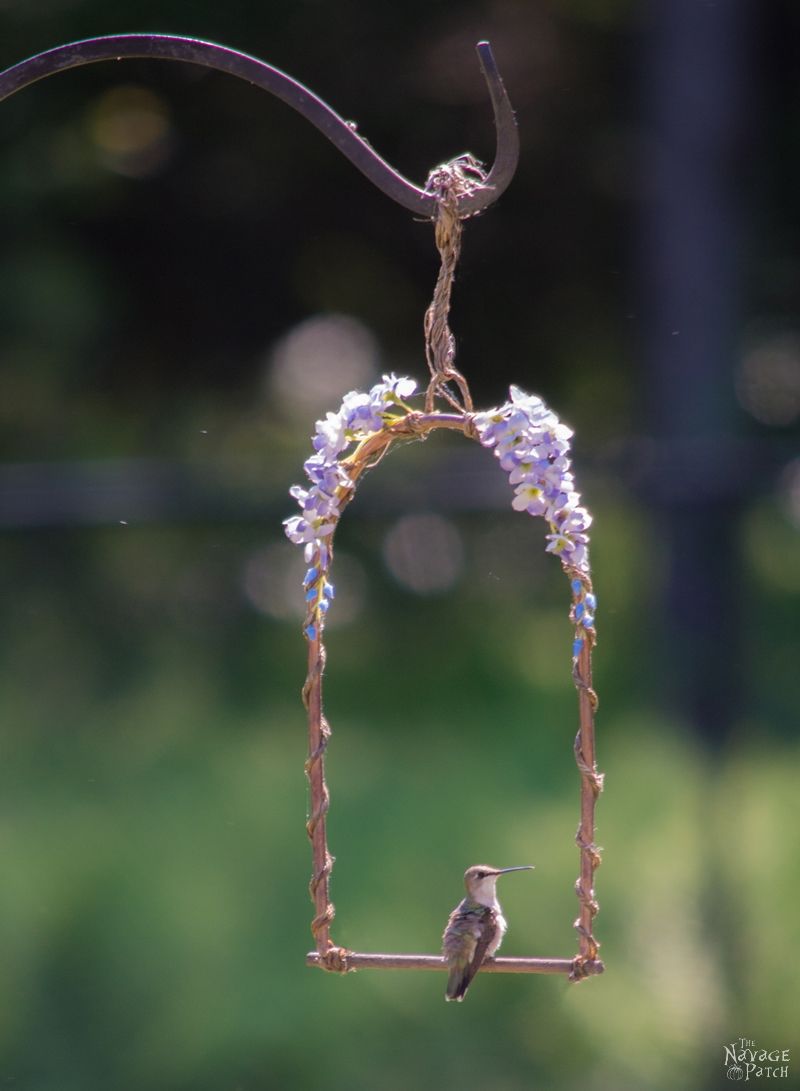 Hummingbird Swing from The Navage Patch