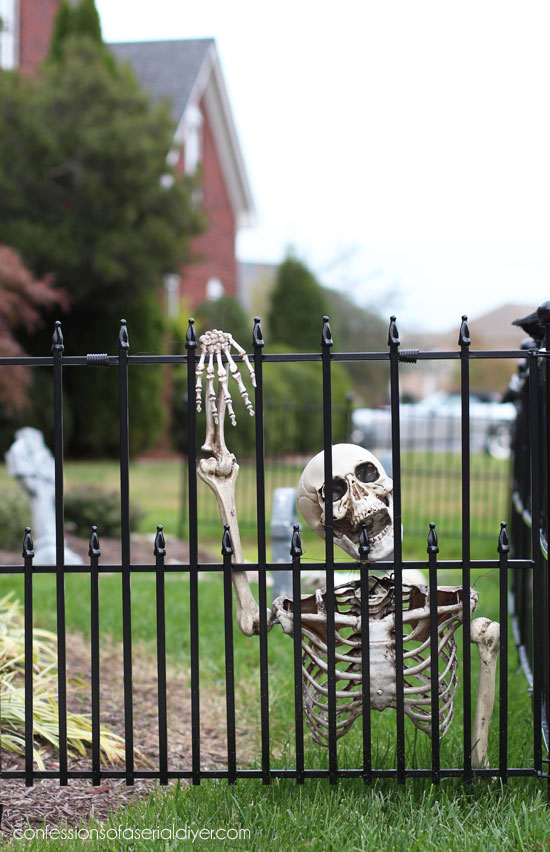 Skeleton halloween cemetery