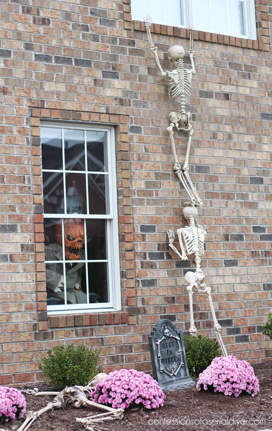 Skeletons climbing wall