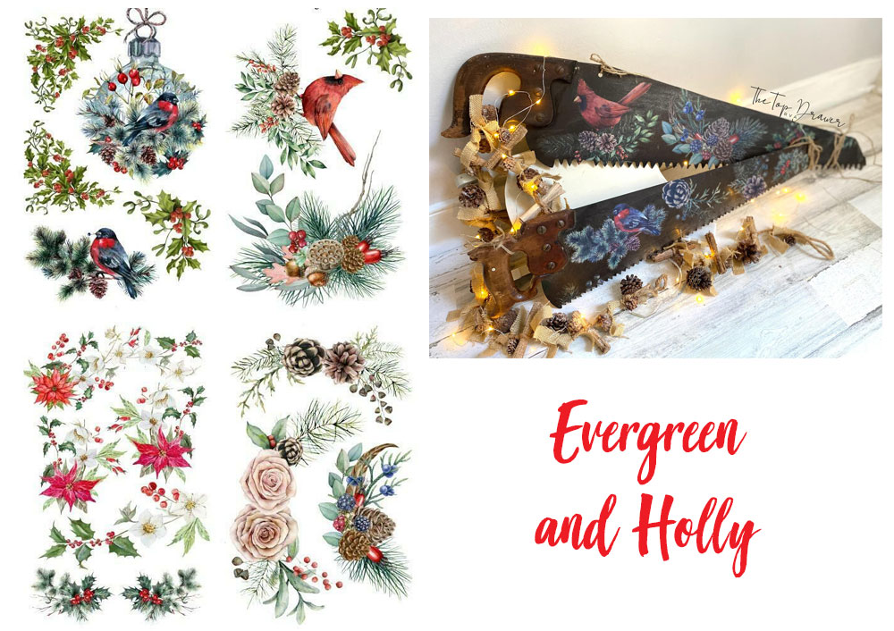 Evergreen and Holly Transfer