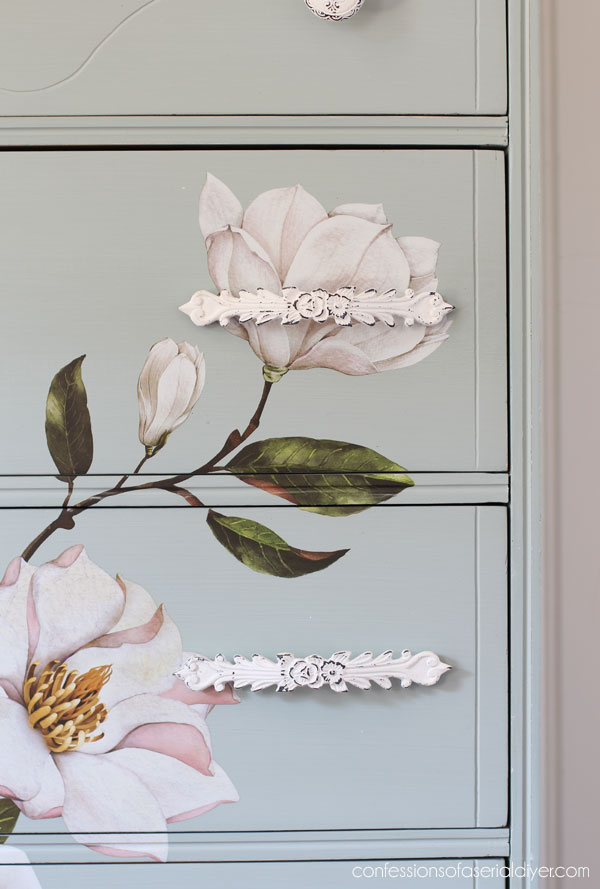 Magnolia Grandiflora Transfer Dresser