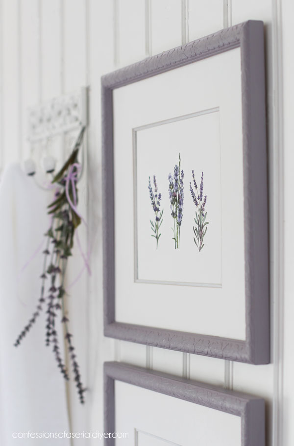Wisteria Mist Terra Clay Paint