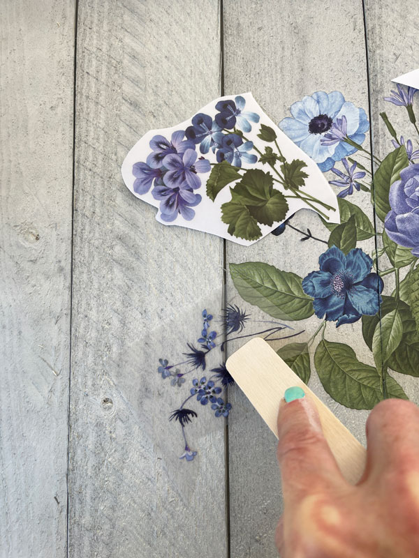Blue Gardens Redesign transfer