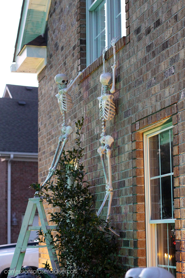 Skeletons hanging from window