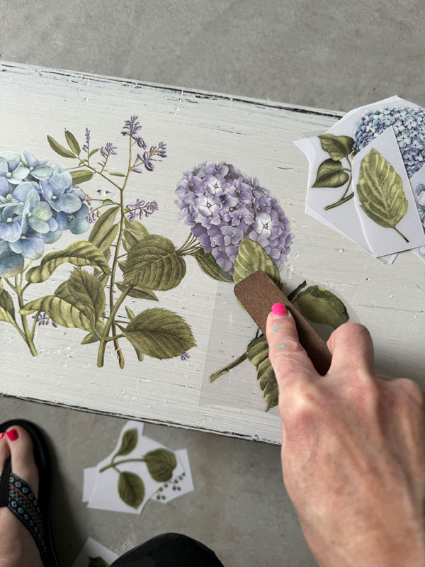 Mystic Hydrangea Transfer