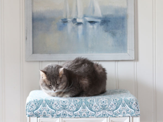 Turn a Table into a Cat Bed