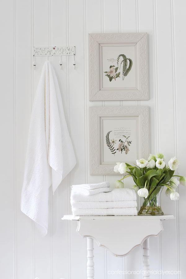 Upcycled picture frames into new botanical artwork