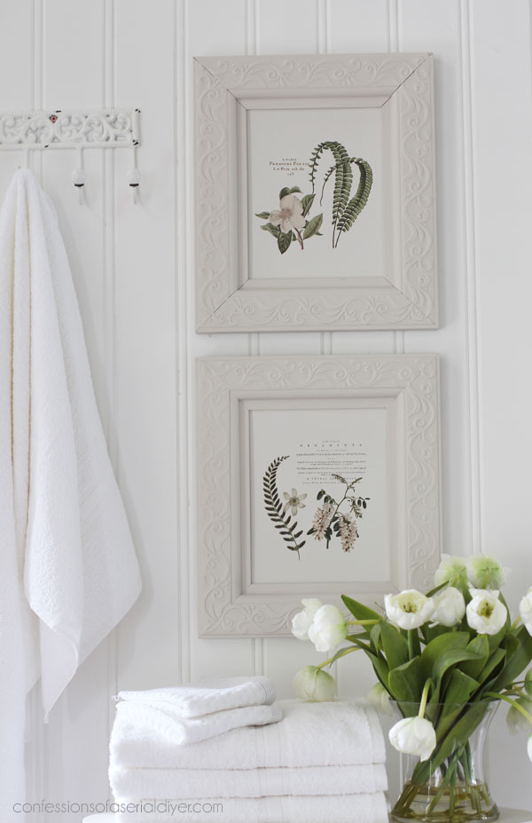 Upcycled picture frames into new botanical artwork