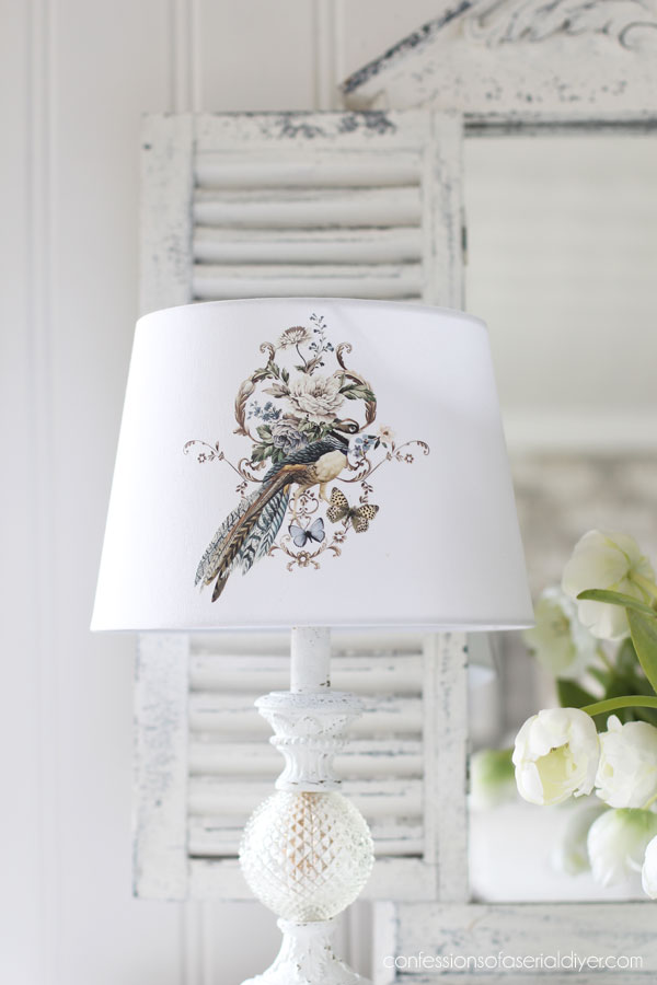 Rare Birds Transfer on a lamp shade