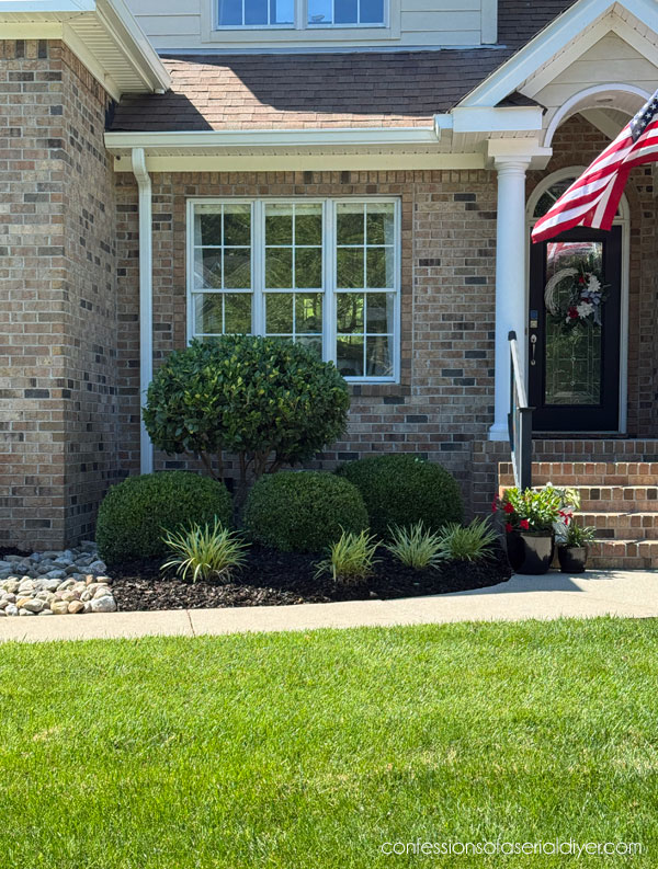Front yard landscaping progression