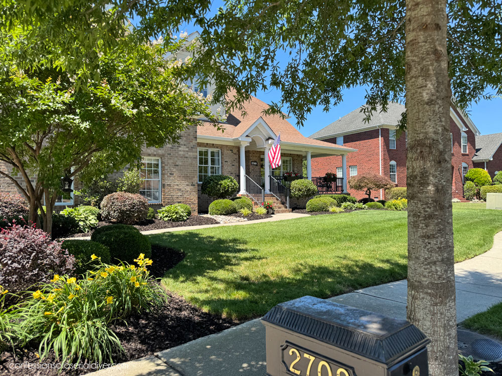 Front yard landscaping progression