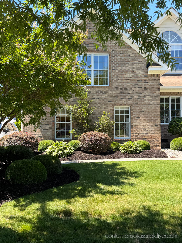 Front yard landscaping progression