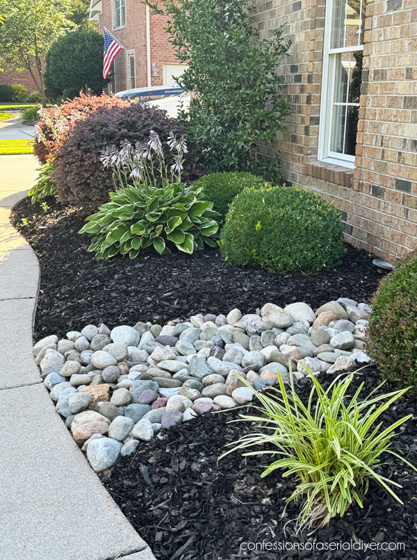 Front yard landscaping progression