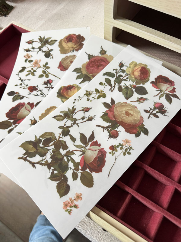 Midnight Rose Transfer