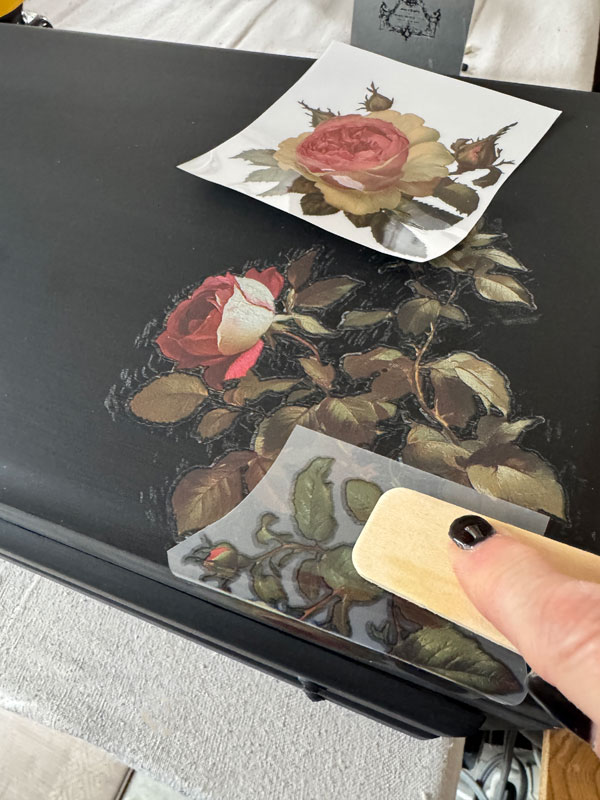 Midnight Rose Transfer from Redesign with Prima